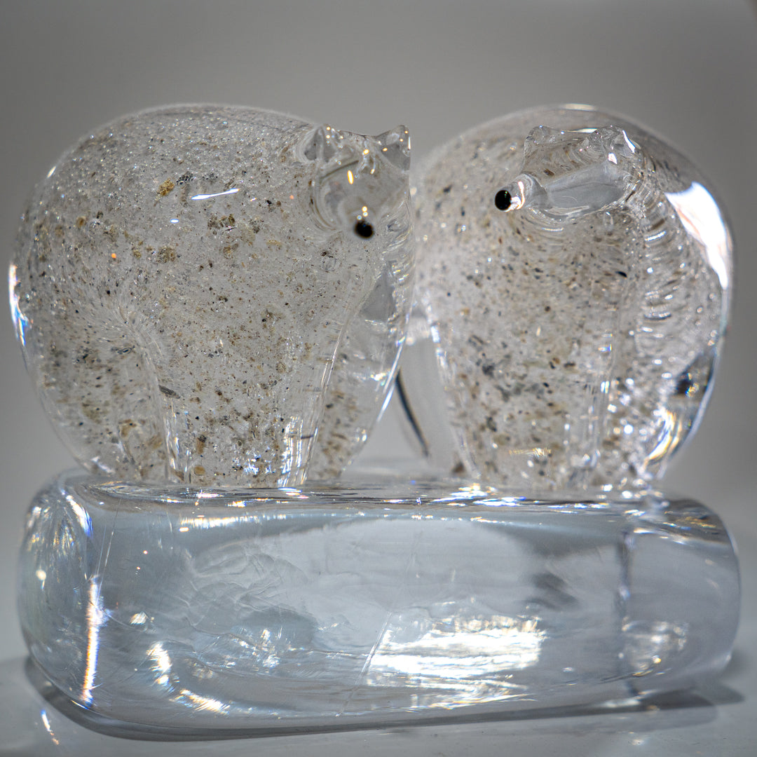 Mrs & Mrs Polar Bear with Ashes