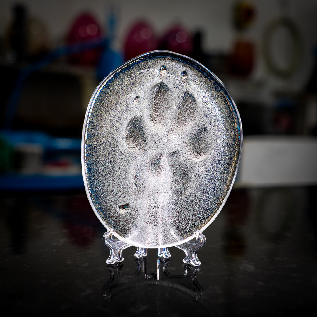 Dog Paw Cast