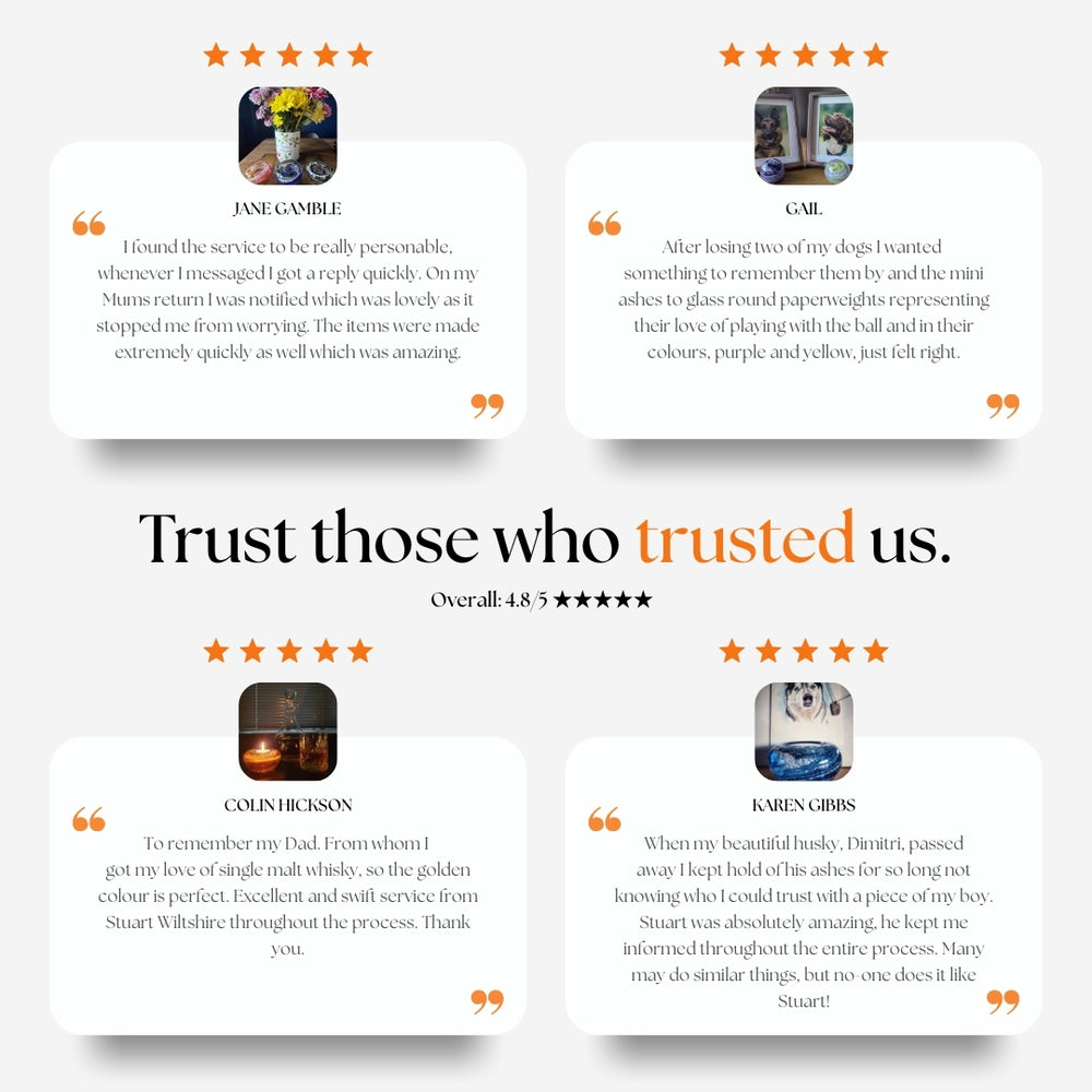 Our reviews