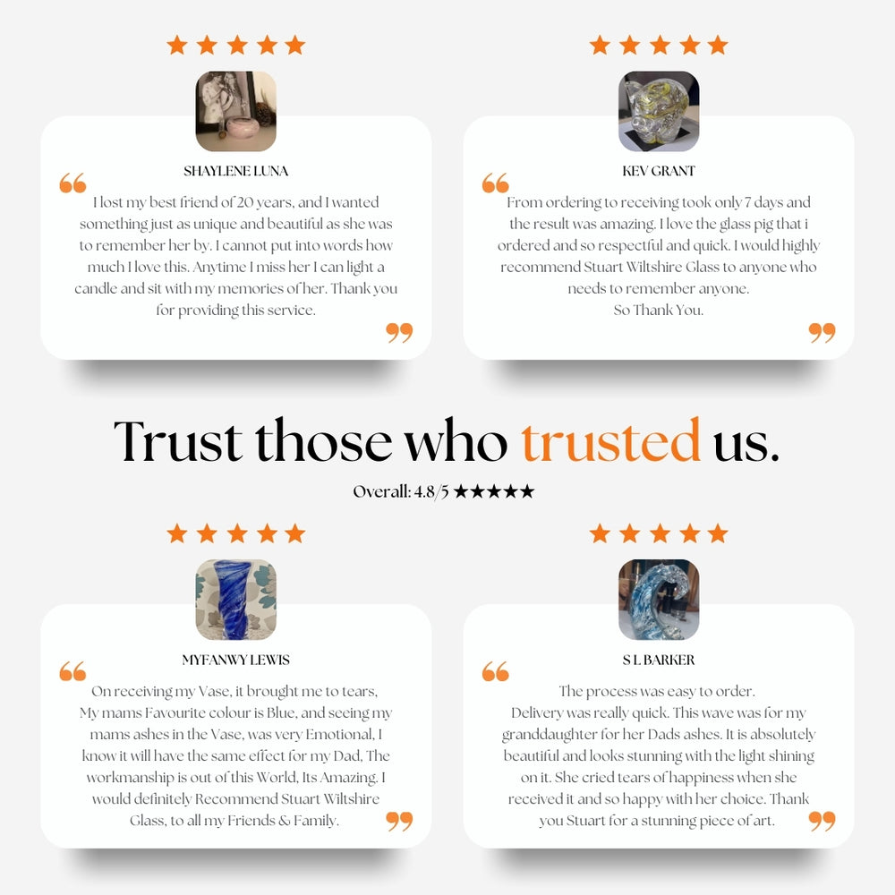 Our reviews