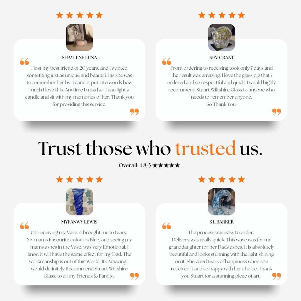 Our reviews