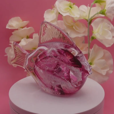 Ashes to glass fish